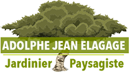 Adolphe Jean elagage 93